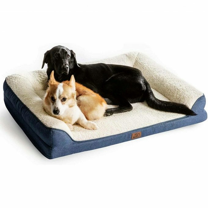 The Dogs Bed Premium Orthopedisch Hondenbed Review